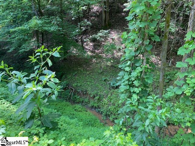 950 Mt Tabor Church Road Pickens, SC 29671 - Photo 23 of 26