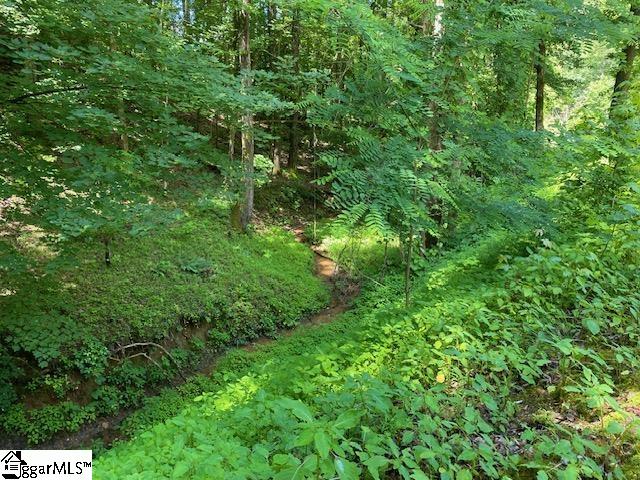 950 Mt Tabor Church Road Pickens, SC 29671 - Photo 24 of 26