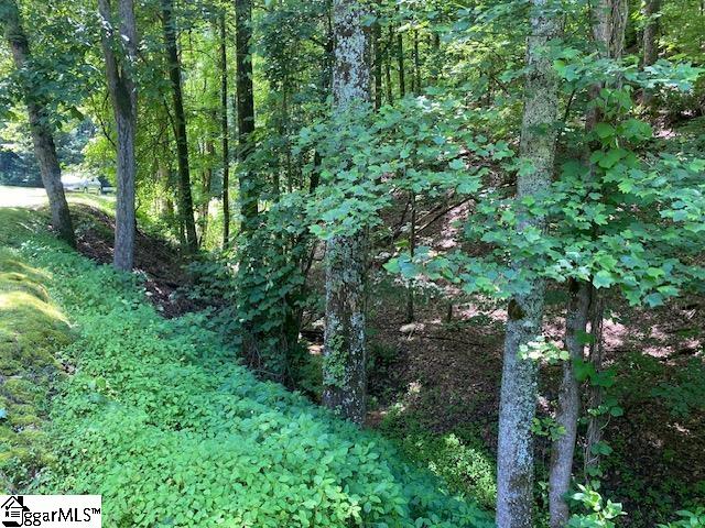 950 Mt Tabor Church Road Pickens, SC 29671 - Photo 25 of 26