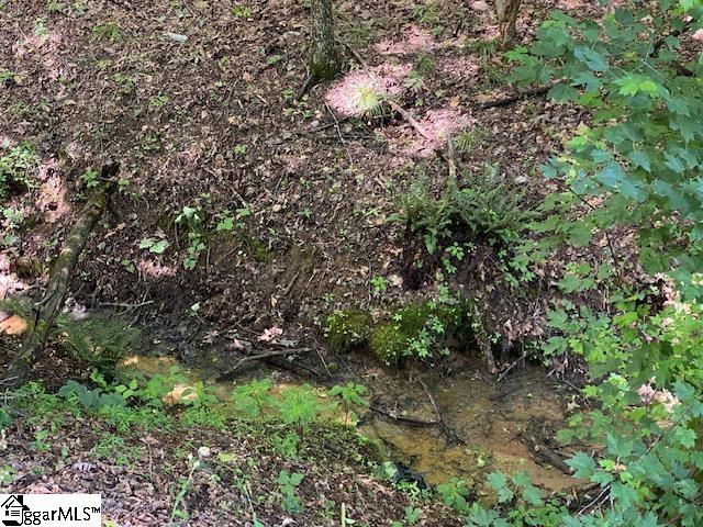 950 Mt Tabor Church Road Pickens, SC 29671 - Photo 26 of 26