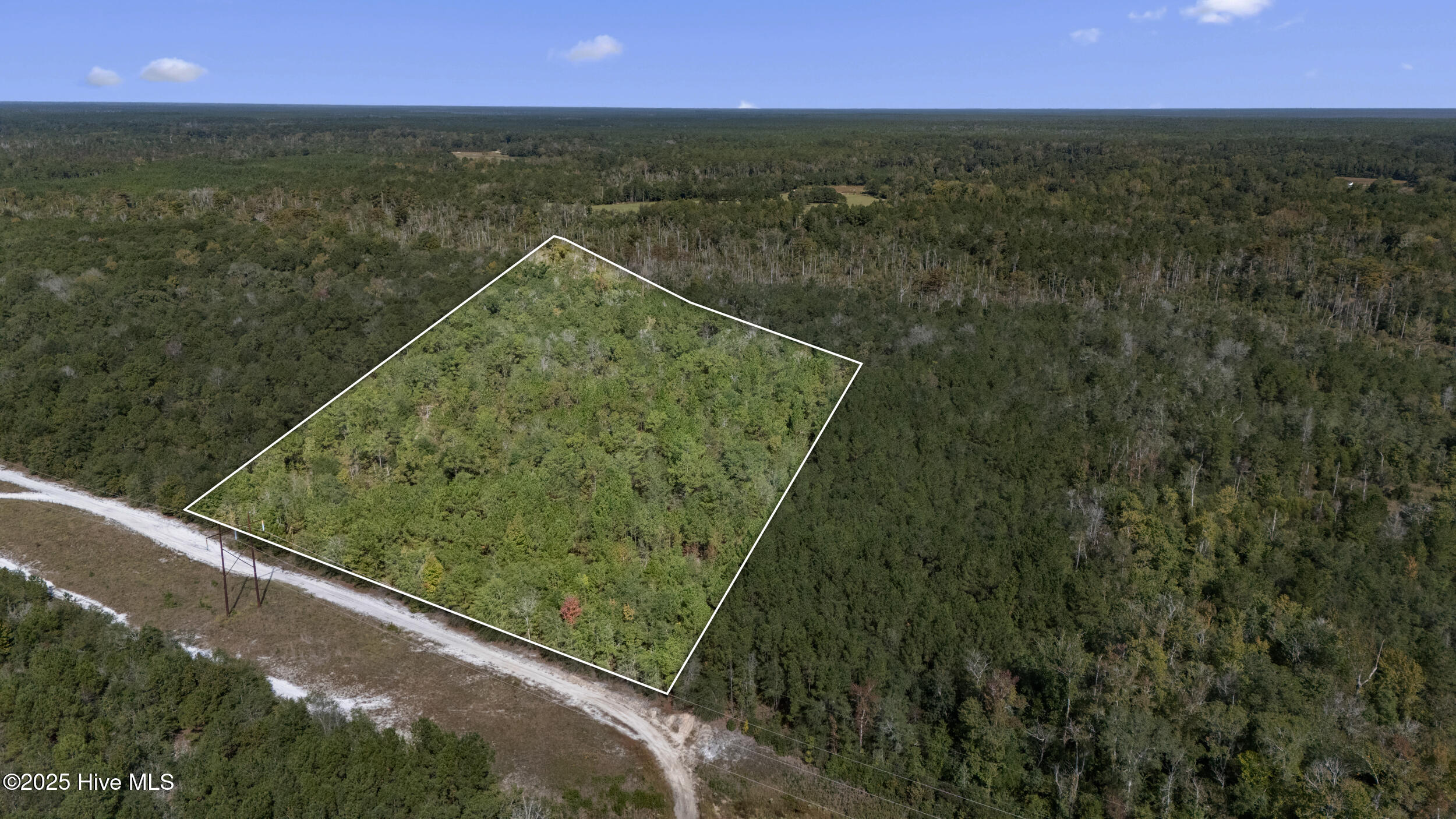 0 Green Swamp Rd Road Northwest Supply, NC 28462 - Photo 35 of 35 34_lot lines 5
