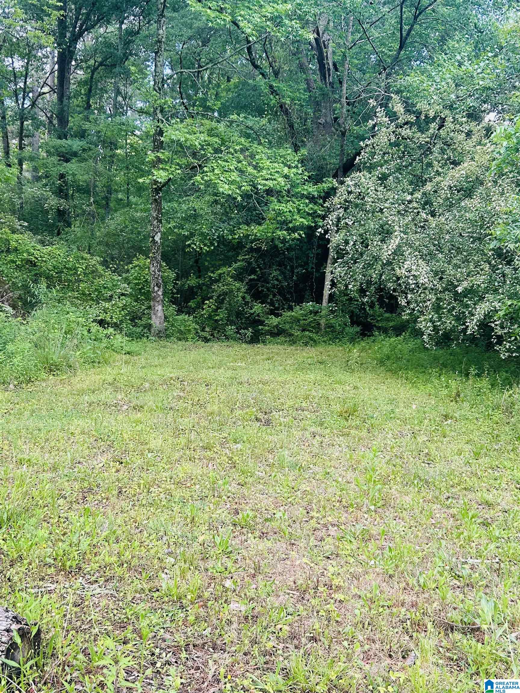 111 Pine Street Centre, AL 35960 - Photo 17 of 17