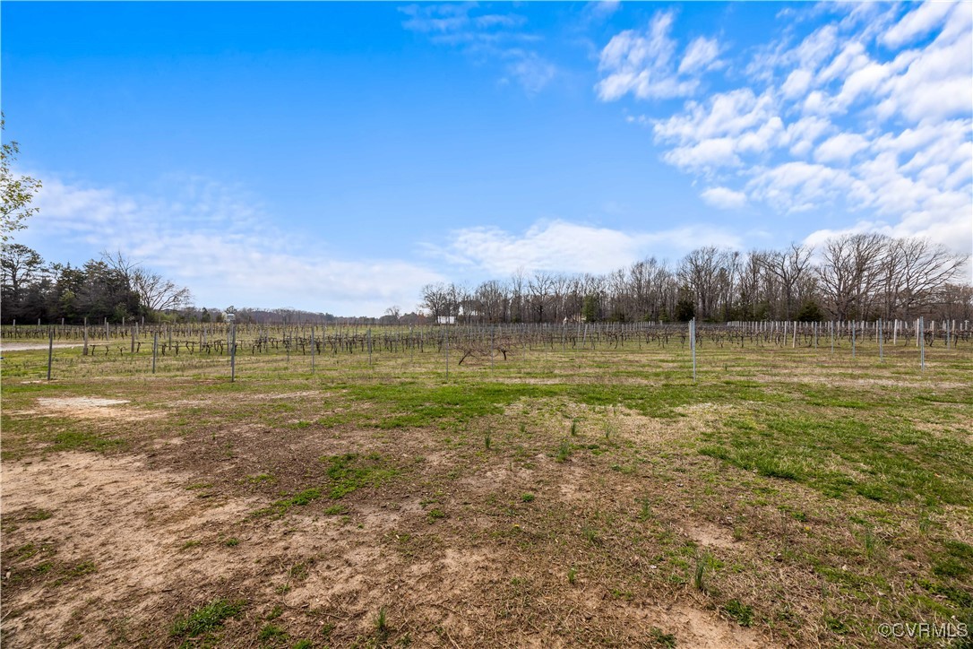 18185 Narrow Path Trail Doswell, VA 23047 - Photo 5 of 48 a view of a lake with a big yard