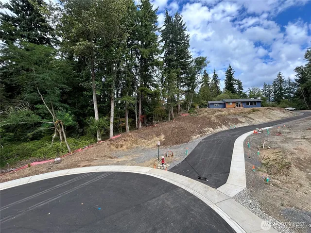 a view of a yard with plants and trees