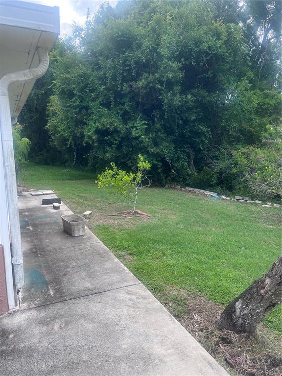 924 Ridge Haven Drive Brandon, FL 33511 - Photo 15 of 18