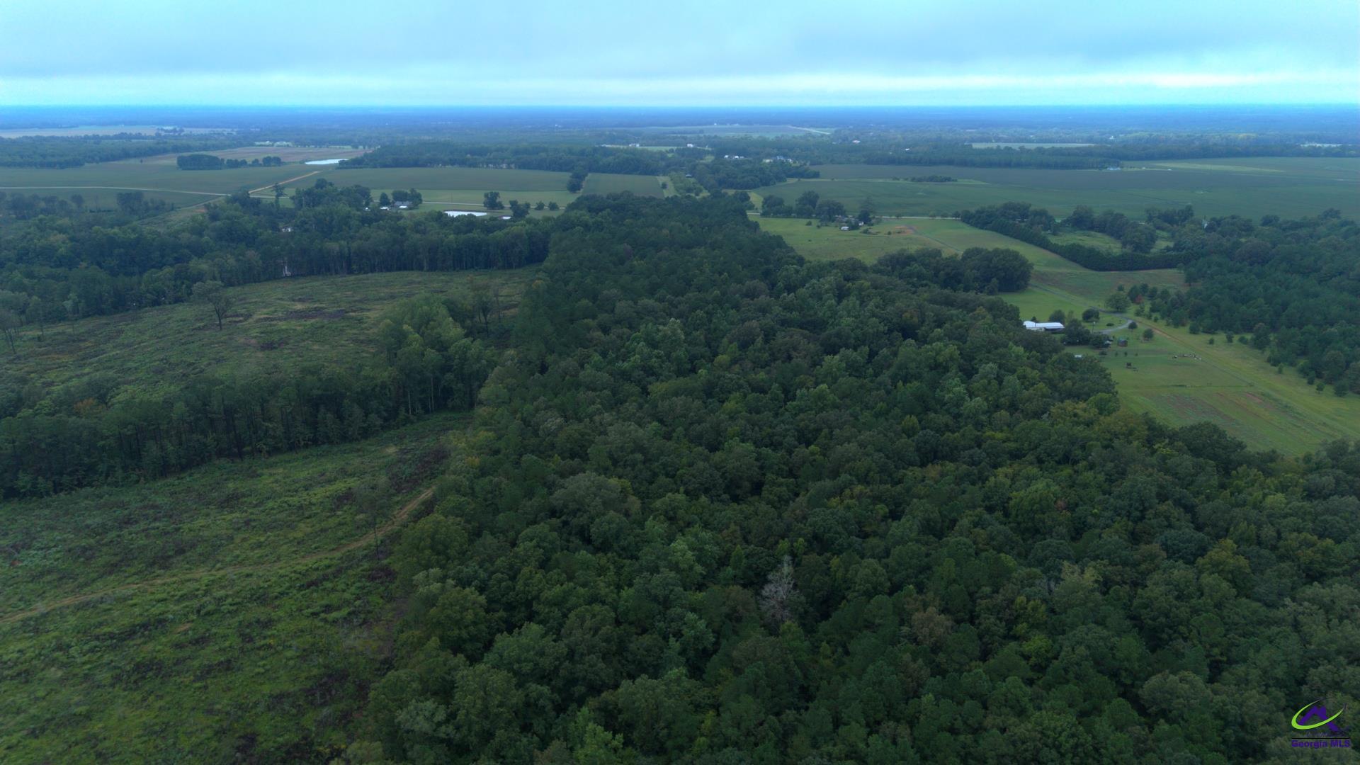 Grovania Road Elko, GA 31025 - Photo 12 of 23