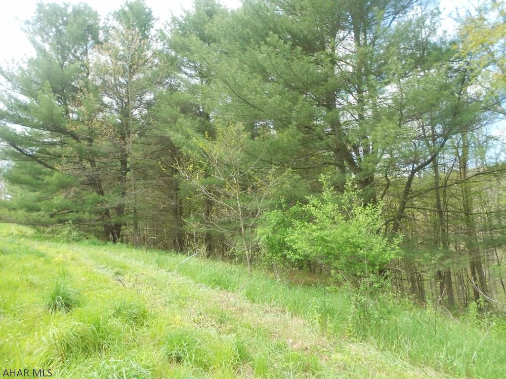 X X Off Aker Road Clearville, PA 15535 - Photo 3 of 10 a view of outdoor space and green field