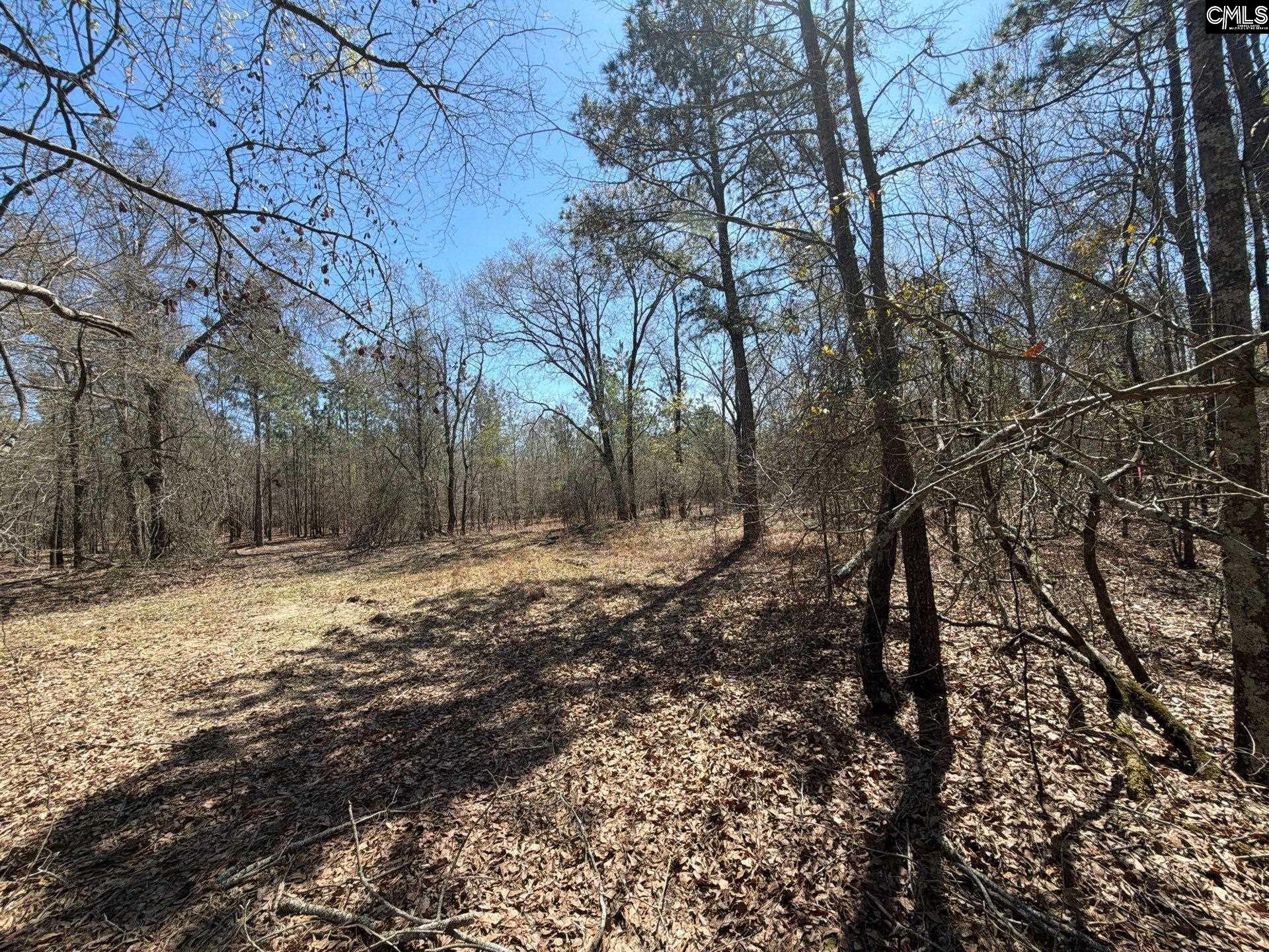 9 Boise Cascade Road, Unit BHL 9 Bethune, SC 29009 - Photo 37 of 44