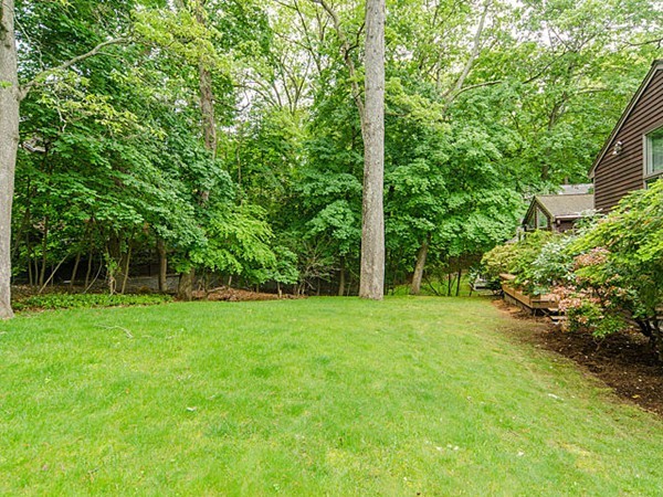 39 Longwell Road Newton, MA 02462 - Photo 17 of 18