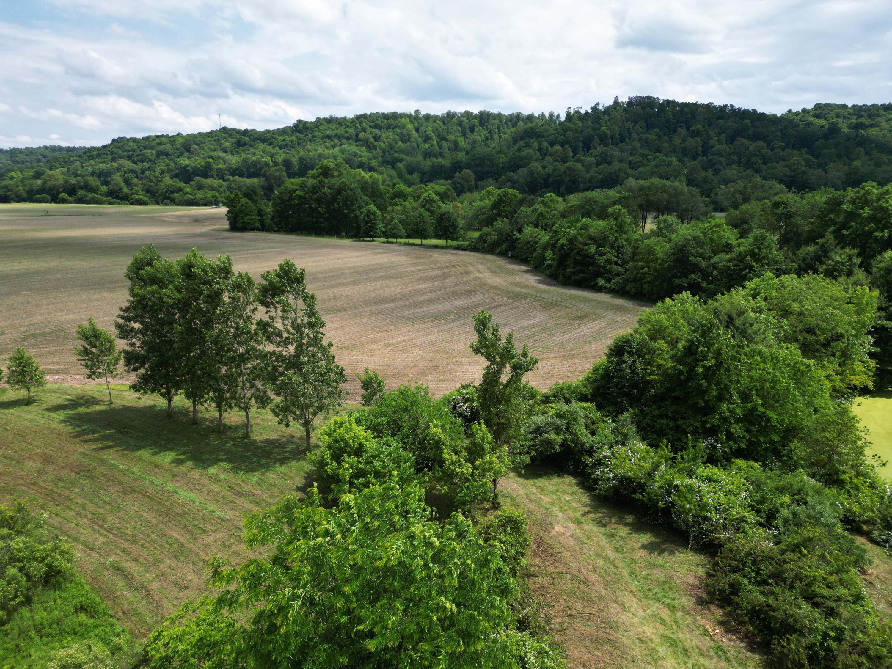 0 Schoolhouse Road Frazeysburg, OH 43822 - Photo 17 of 31 DJI_0577