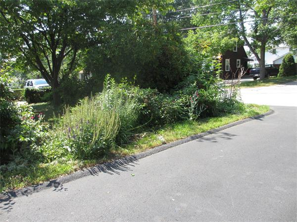 81 Wilkins Road Braintree, MA 02184 - Photo 23 of 27 Gallery Image 23