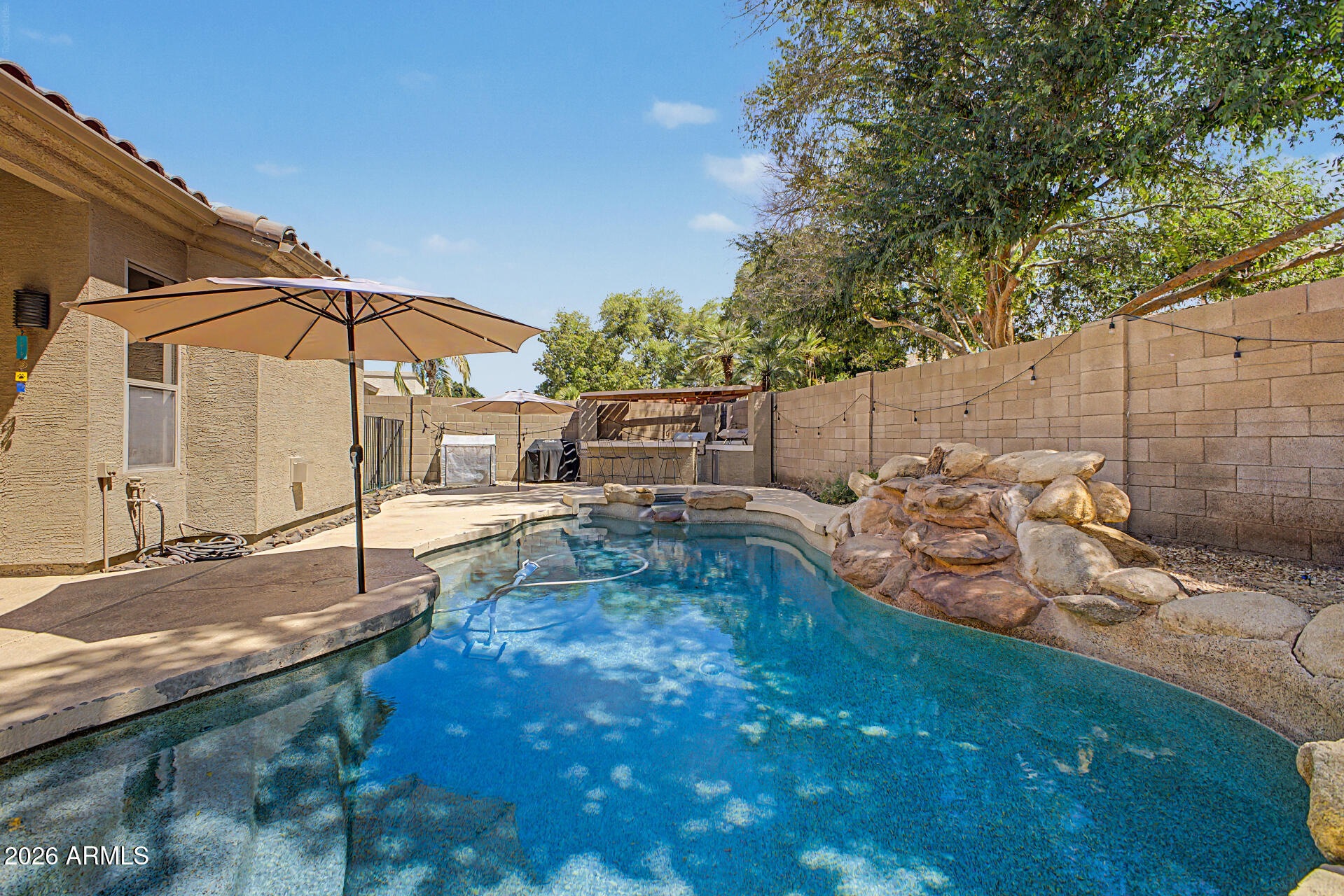 545 South Lemon Court Gilbert, AZ 85296 - Photo 18 of 41 Backyard