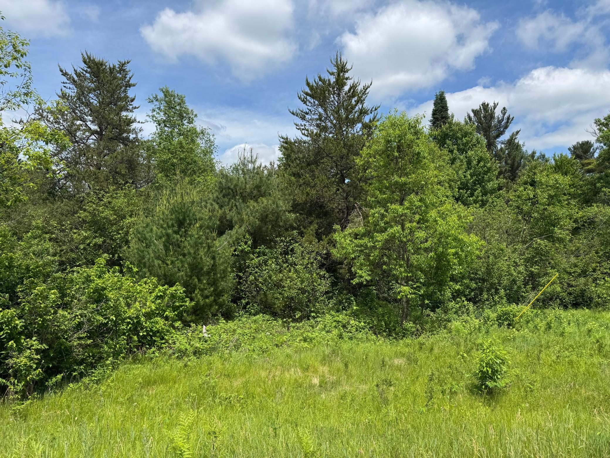 6398 Fred Tripp Road Springbrook, WI 54875 - Photo 11 of 30