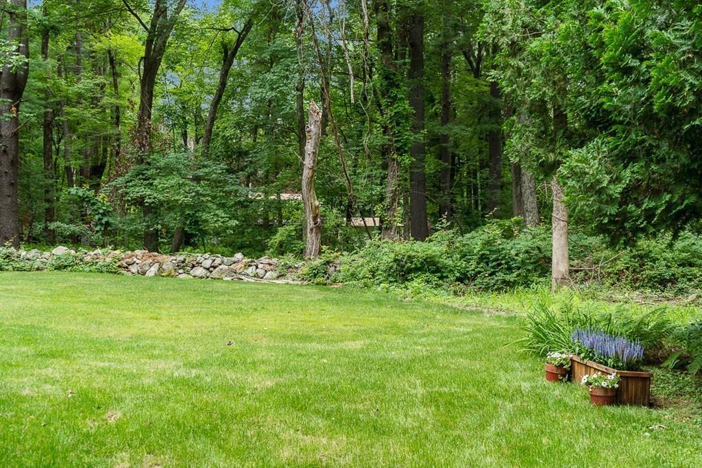 206 Prospect Street Carlisle, MA 01741 - Photo 22 of 25 a view of a garden