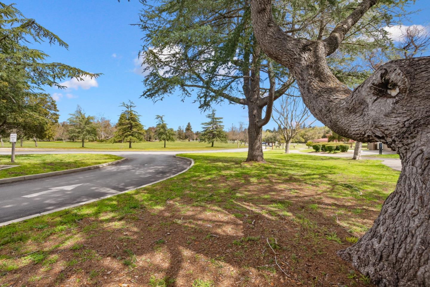 220 Watson Drive, Unit 2 Campbell, CA 95008 - Photo 31 of 34 a view of a yard with a tree