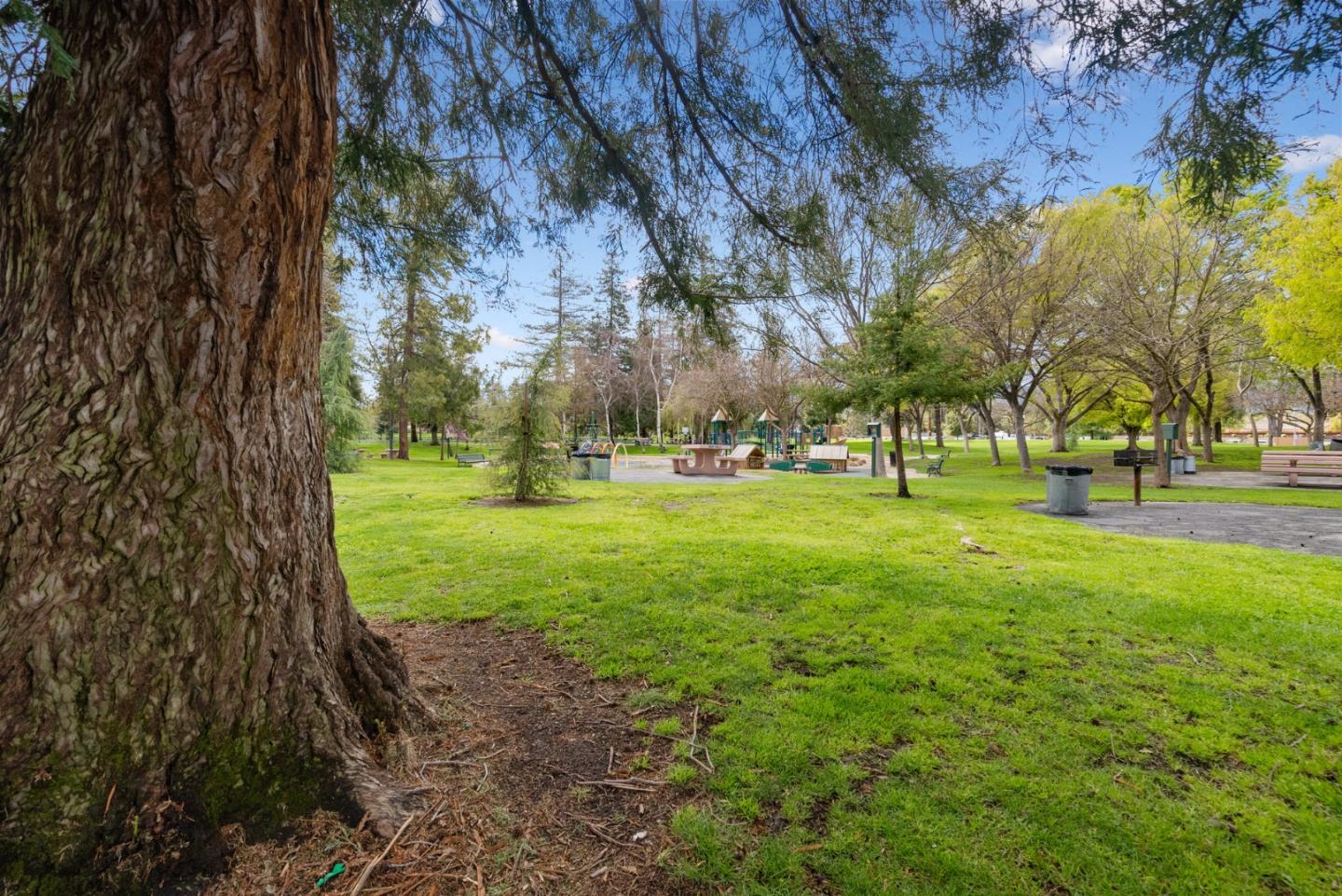 220 Watson Drive, Unit 2 Campbell, CA 95008 - Photo 34 of 34 a view of park with trees