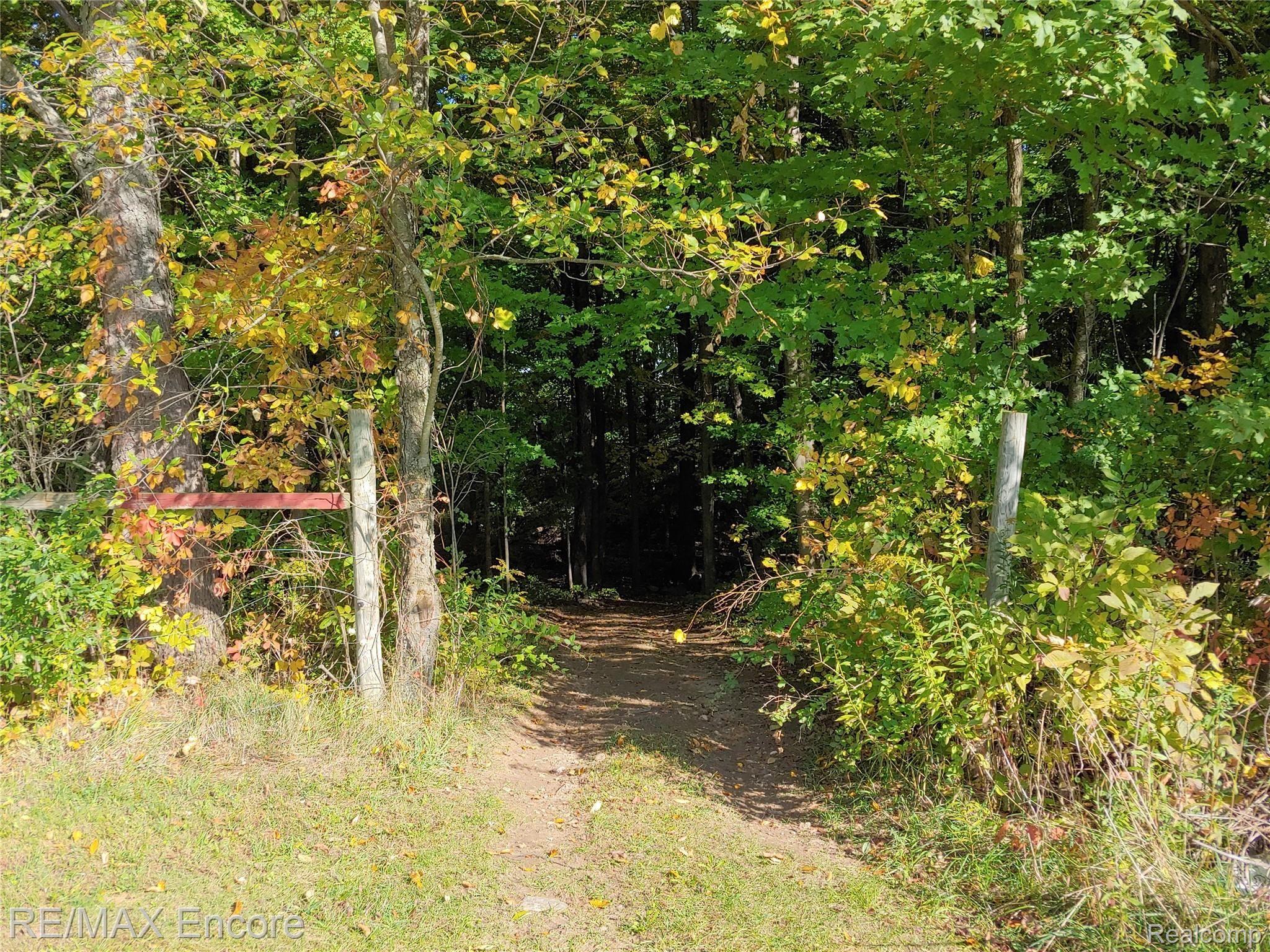 7185 Fostoria Road Mayville, MI 48744 - Photo 22 of 33 PATH TO WOODS