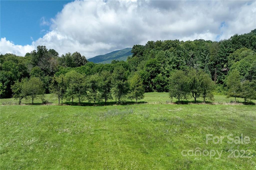 0 Green Valley Road Waynesville, NC 28786 - Photo 12 of 20 a backyard of a house with lots of green space