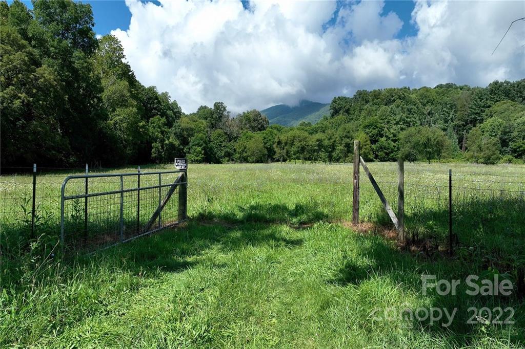 0 Green Valley Road Waynesville, NC 28786 - Photo 6 of 20 a view of a park