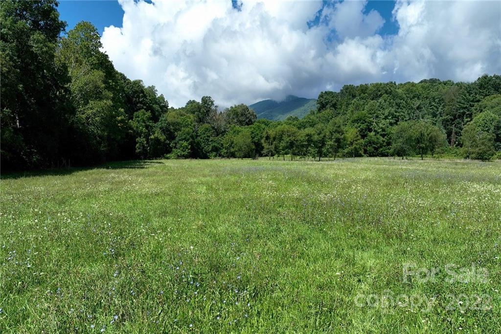 0 Green Valley Road Waynesville, NC 28786 - Photo 7 of 20 a view of grassy field with trees in the background