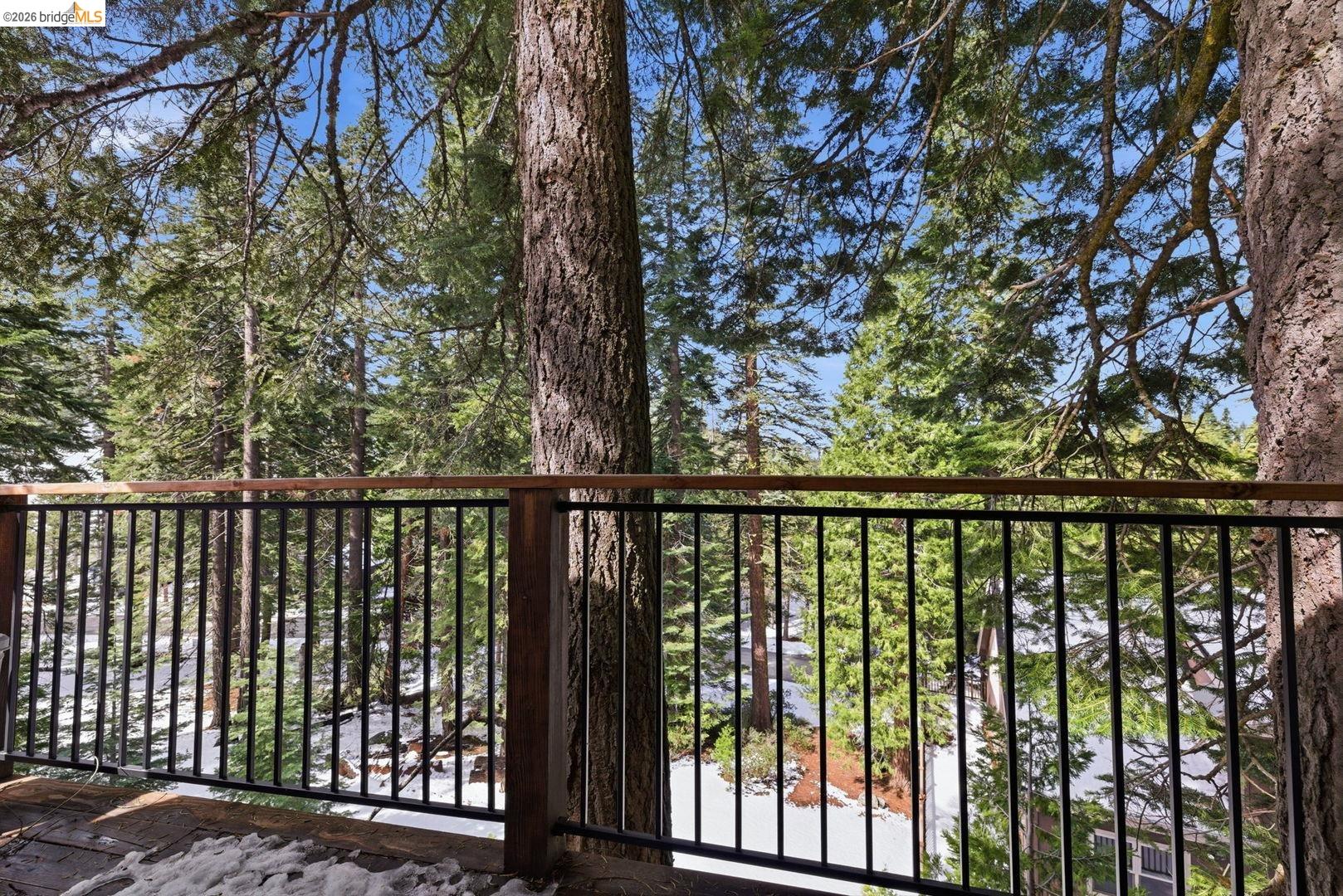 33840 Upper Leland Road, Unit 25A Pinecrest, CA 95364 - Photo 22 of 41 a view of a balcony with a pot