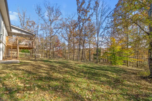 a view of a trees with a yard