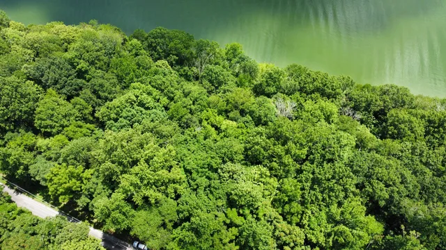 $19,900 | 0 Lakeside Drive, Smithville, TN 37166