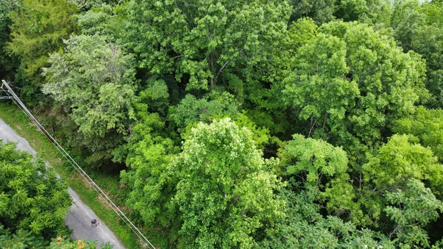 $19,900 | 0 Lakeside Drive, Smithville, TN 37166