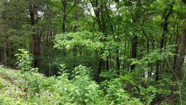 $19,900 | 0 Lakeside Drive, Smithville, TN 37166