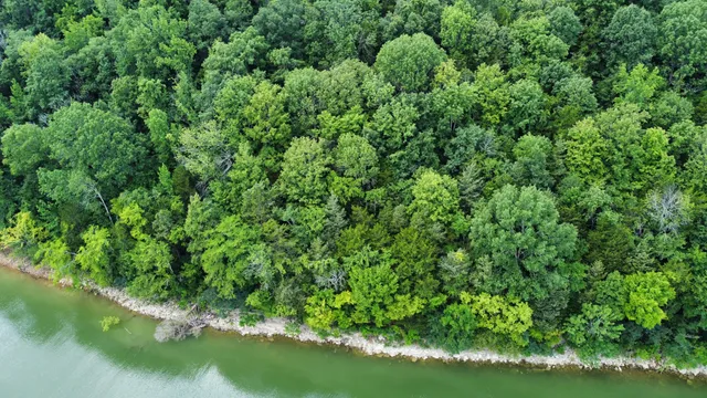 $19,900 | 0 Lakeside Drive, Smithville, TN 37166