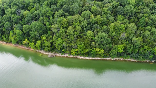 $19,900 | 0 Lakeside Drive, Smithville, TN 37166