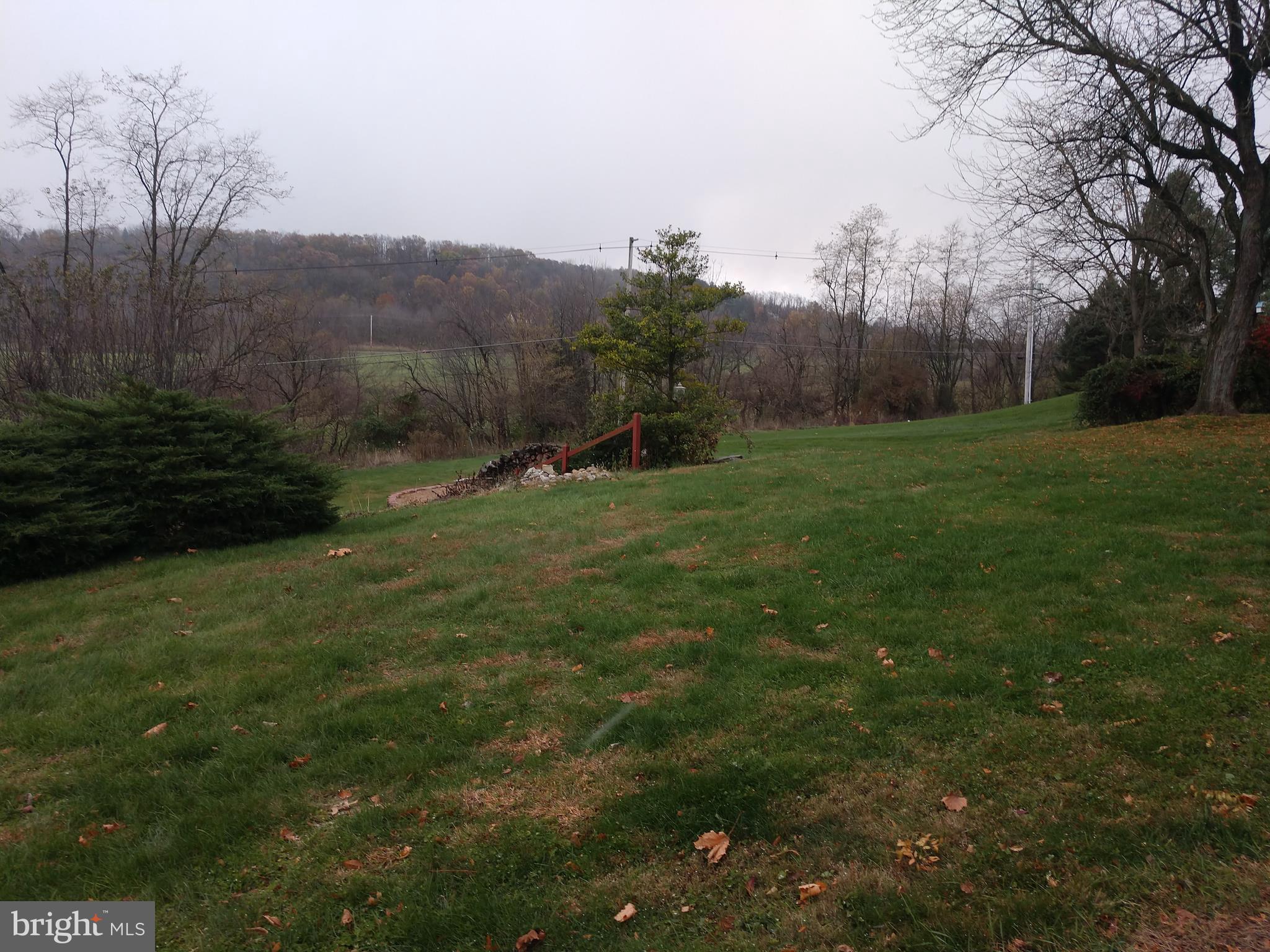 9740 Forest Ridge Road Shippensburg, PA 17257 - Photo 4 of 18 Rear yard, over half an acre