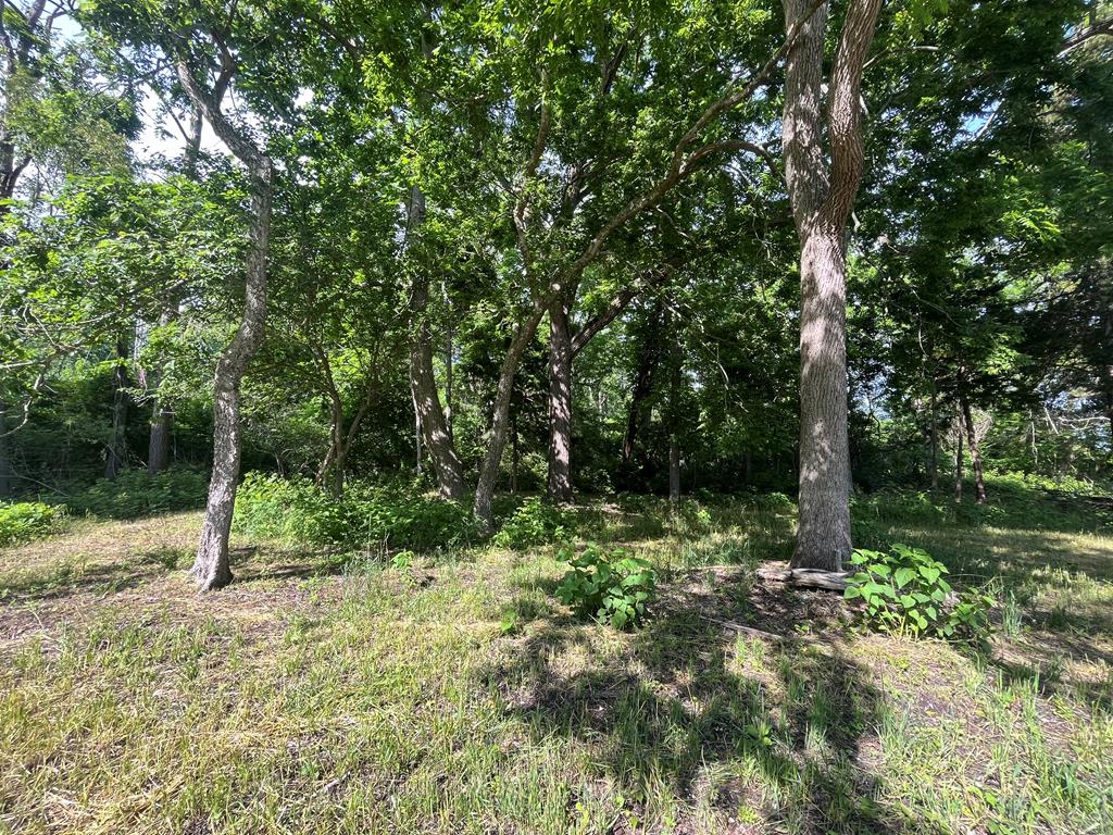 N/a Chincoteague Road Wallops Island, VA 23337 - Photo 12 of 27