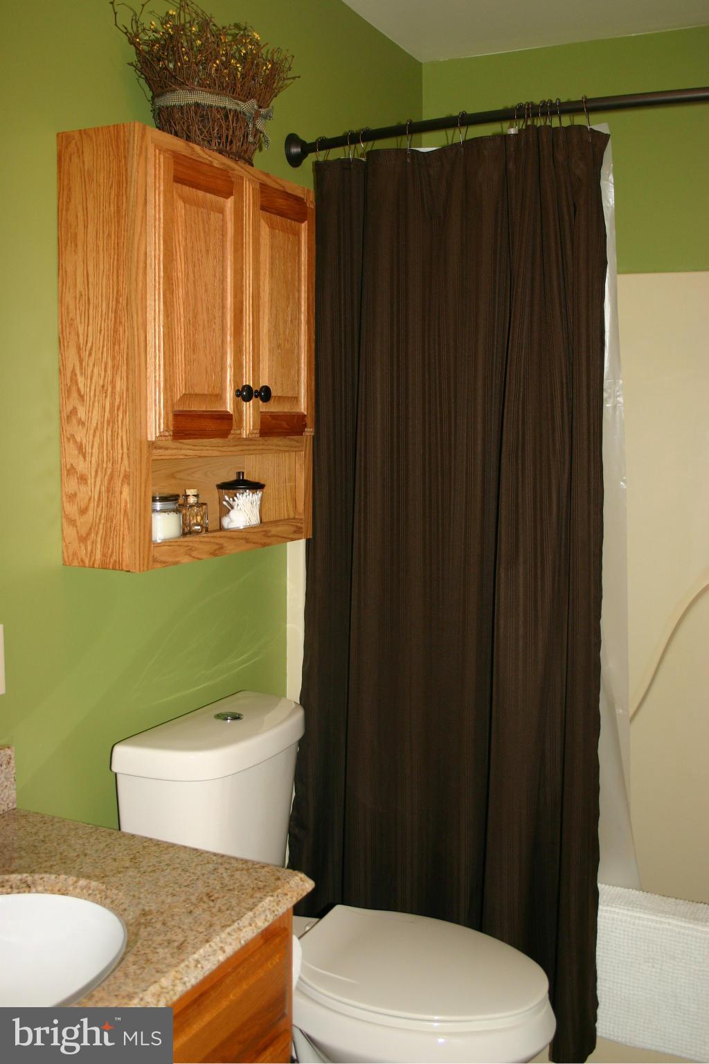 1169 Valley View Road Harpers Ferry, WV 25425 - Photo 10 of 19 Master Bath