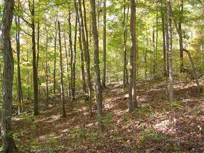 1113 Haynes Knob Road Somerset, KY 42501 - Photo 15 of 15 Additional Photo