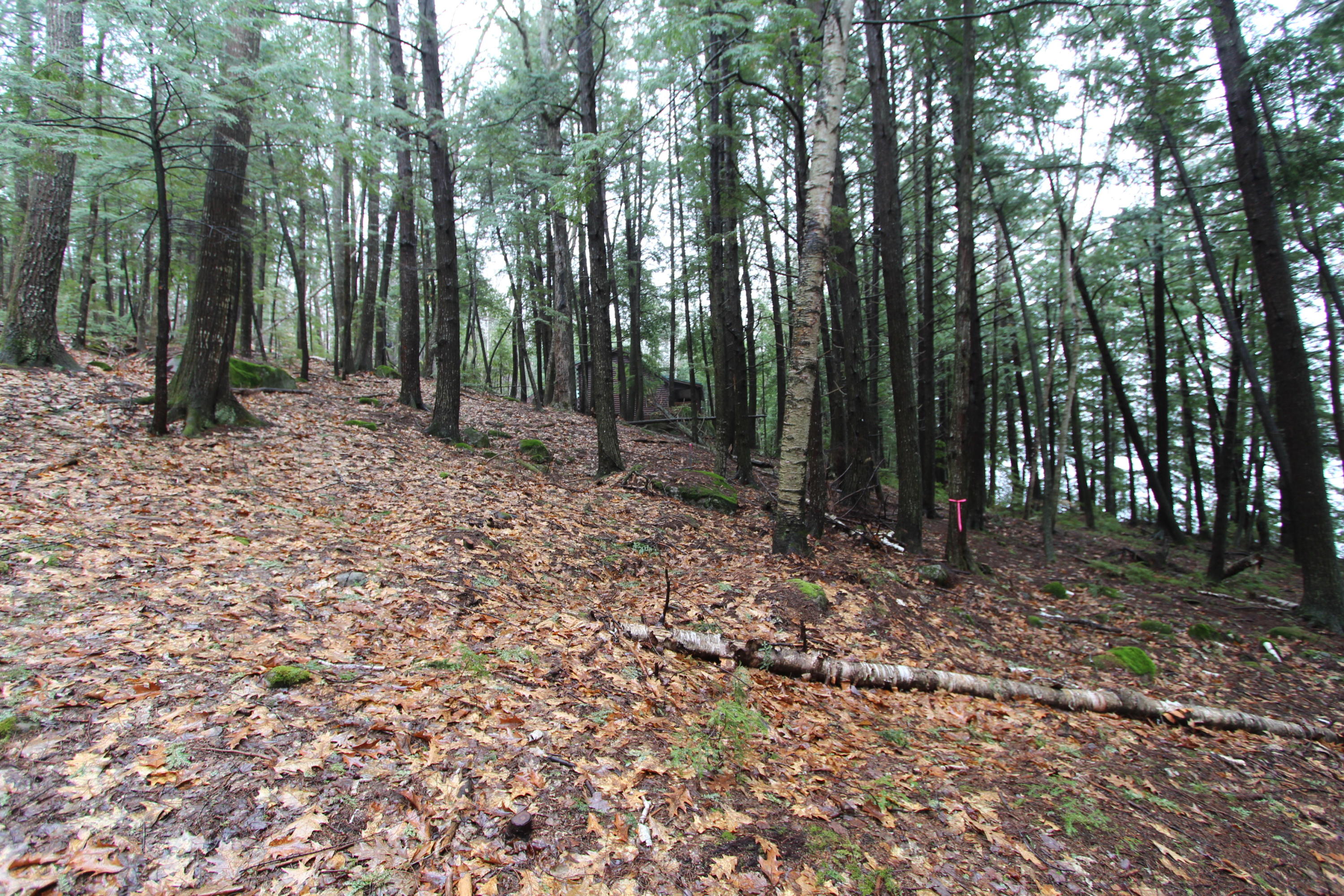 Tbd East Tbd E Shore Road Chesterville, ME 04938 - Photo 11 of 13 IMG_9713