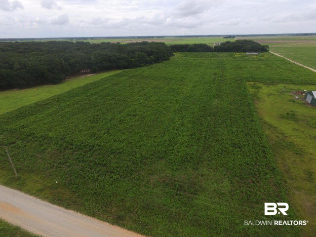 9510 Sherman Road Foley, AL 36535 - Photo 2 of 6