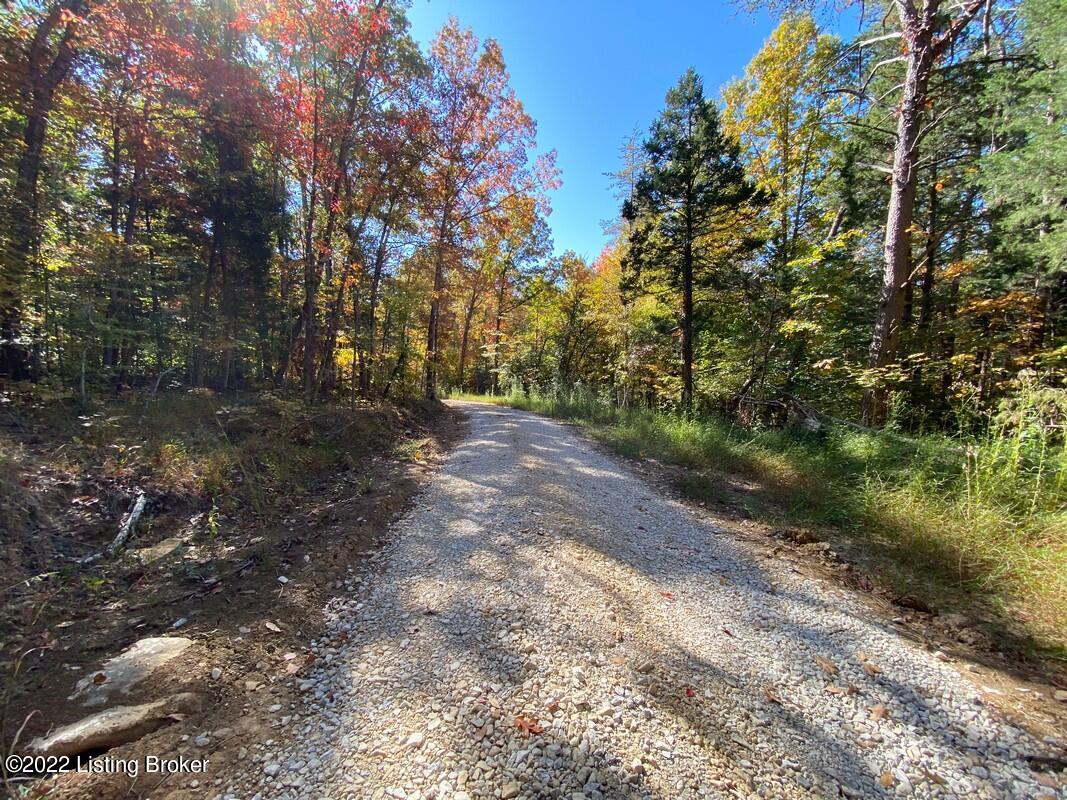 L10 Ted Logsdon Road Clarkson, KY 42726 - Photo 1 of 13 River View 1013222109