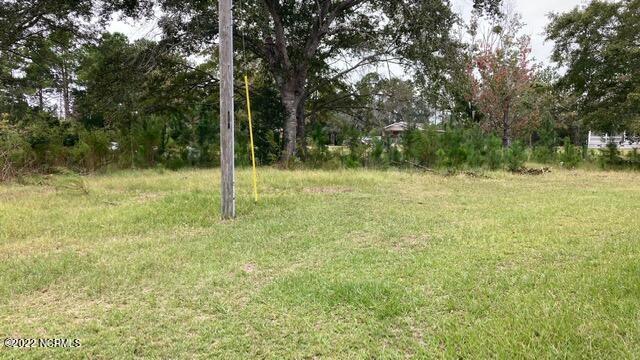 401 Al Haynes Road Southwest Supply, NC 28462 - Photo 4 of 20 IMG_6040