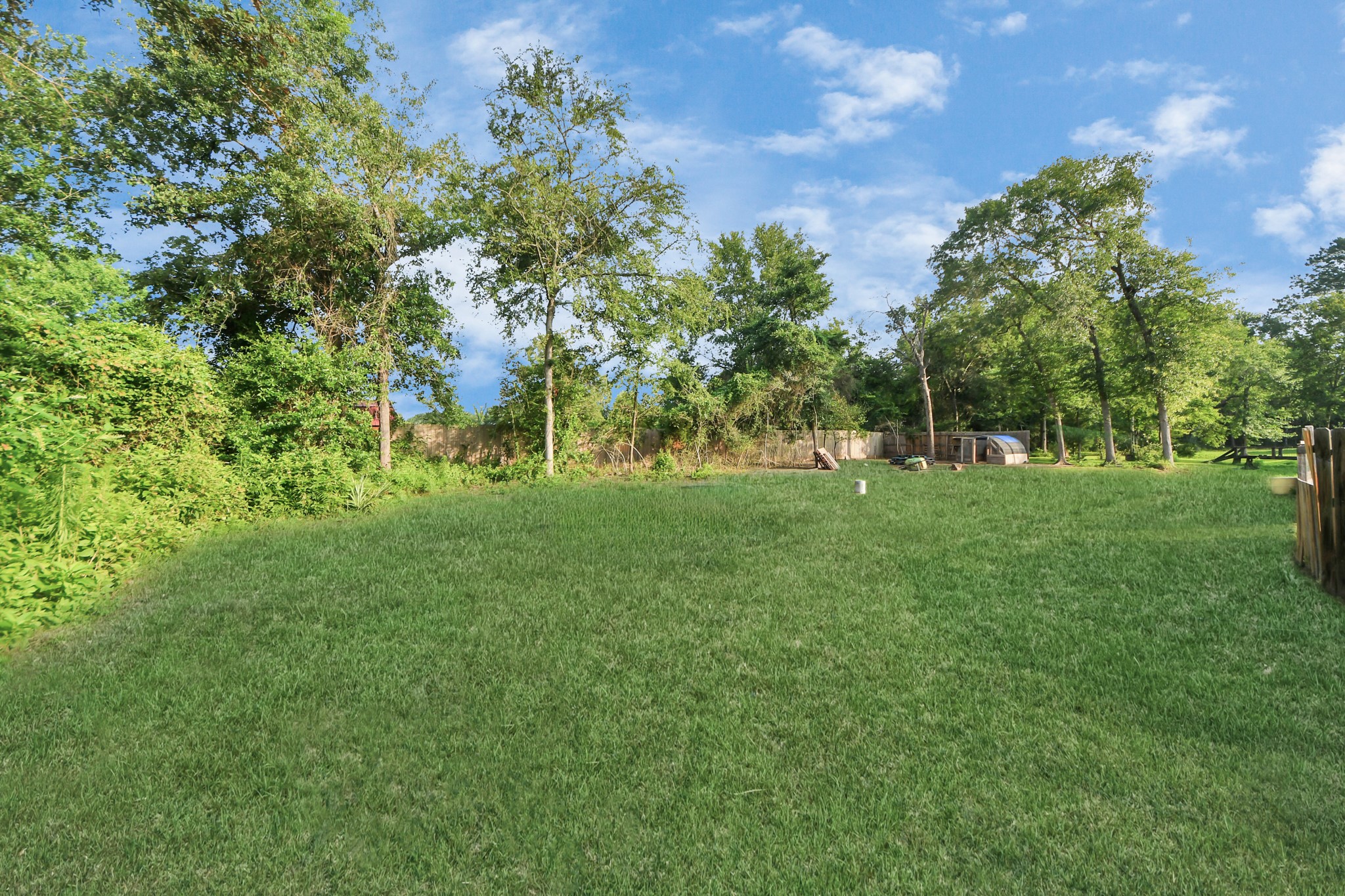 25450 Killarney Road Hempstead, TX 77445 - Photo 33 of 34 a view of yard with green space