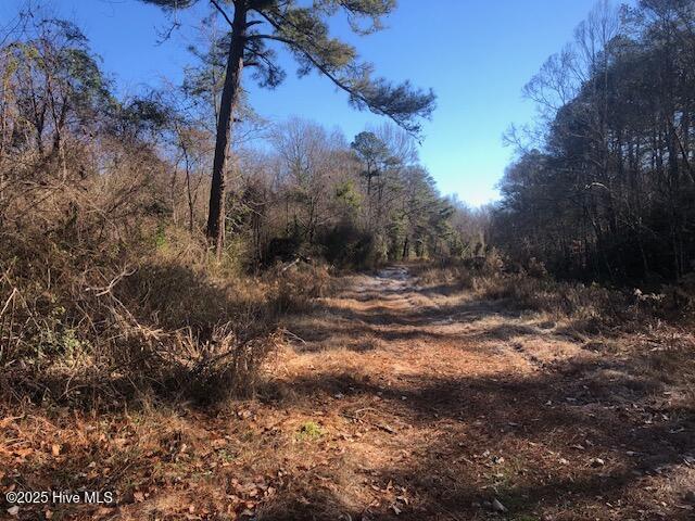 1528 Off Road Pinetown, NC 27865 - Photo 2 of 10 IMG_6150