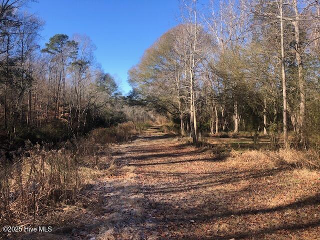 1528 Off Road Pinetown, NC 27865 - Photo 3 of 10 IMG_6151