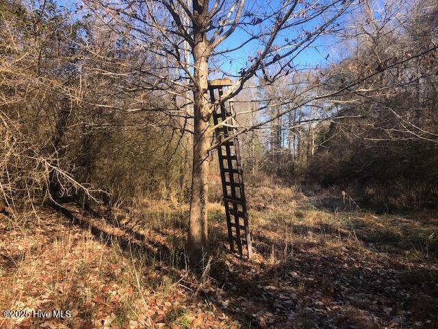1528 Off Road Pinetown, NC 27865 - Photo 5 of 10 IMG_6153