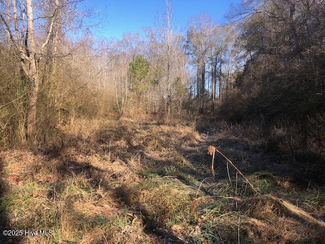 1528 Off Road Pinetown, NC 27865 - Photo 6 of 10 IMG_6154