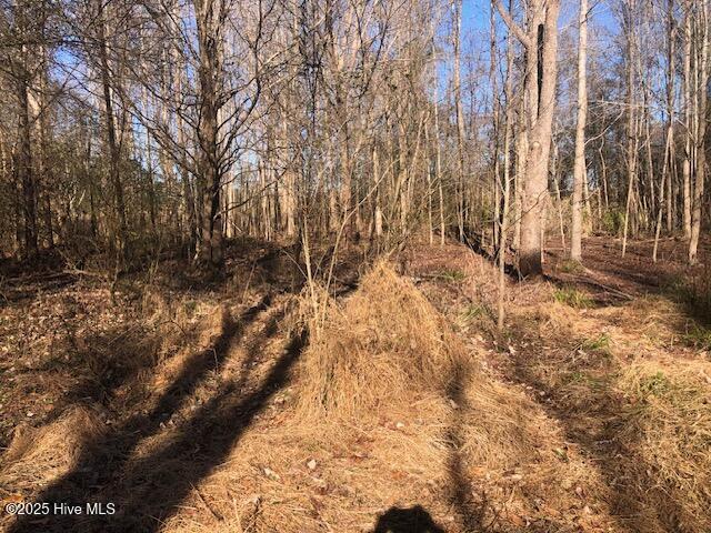 1528 Off Road Pinetown, NC 27865 - Photo 10 of 10 IMG_6158