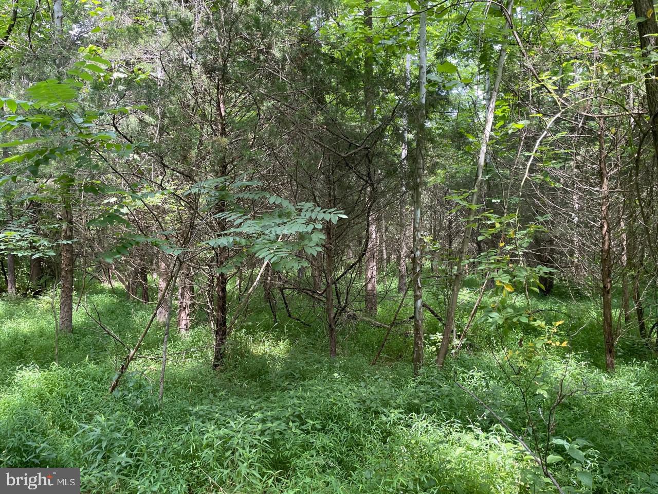 0 Starner Dam Road Taneytown, MD 21787 - Photo 27 of 42
