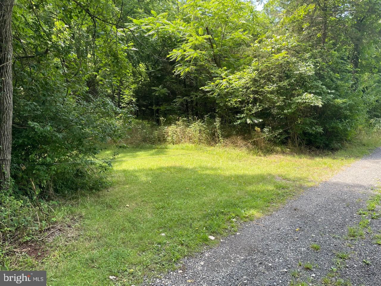 0 Starner Dam Road Taneytown, MD 21787 - Photo 3 of 42