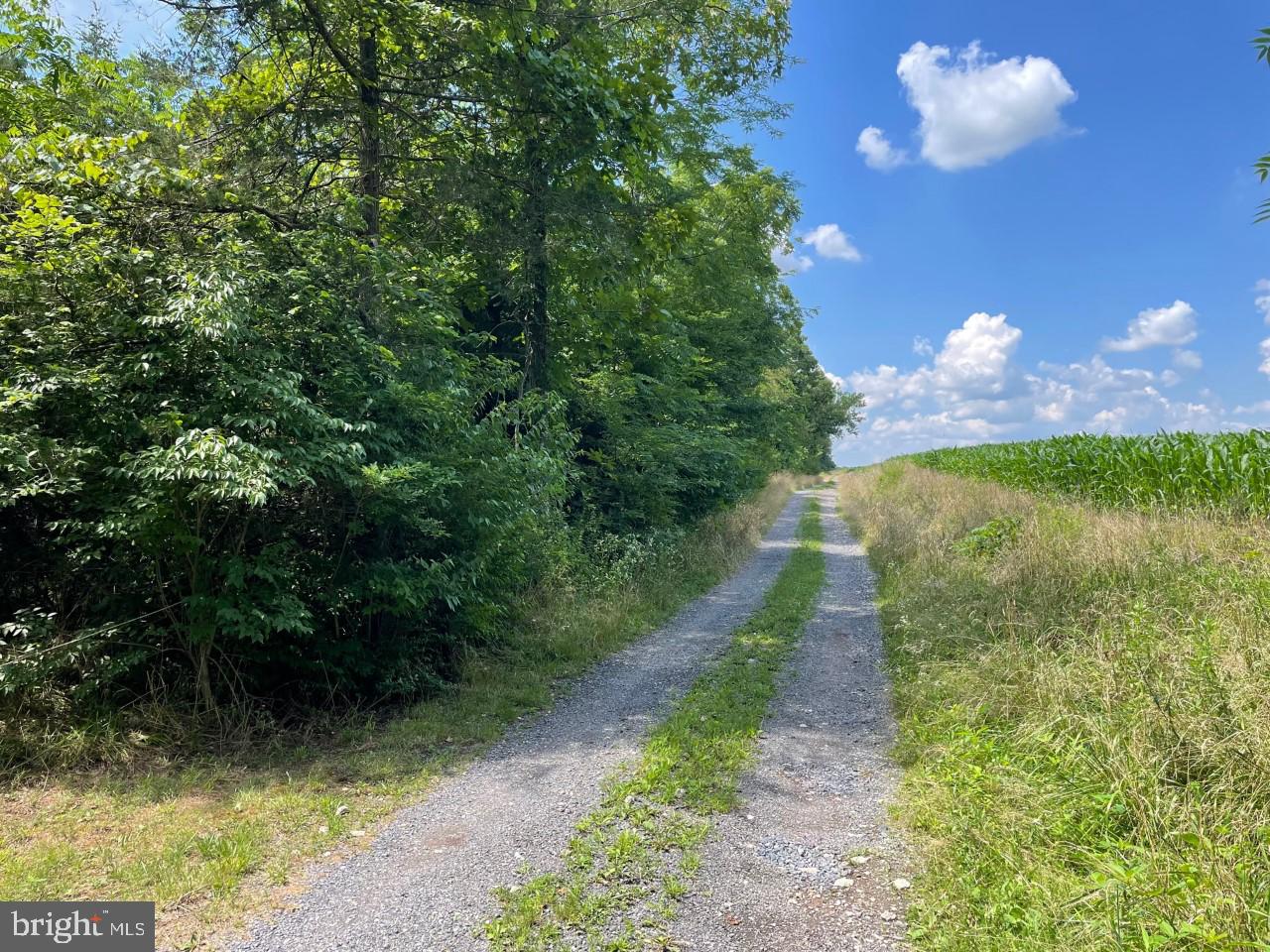 0 Starner Dam Road Taneytown, MD 21787 - Photo 4 of 42
