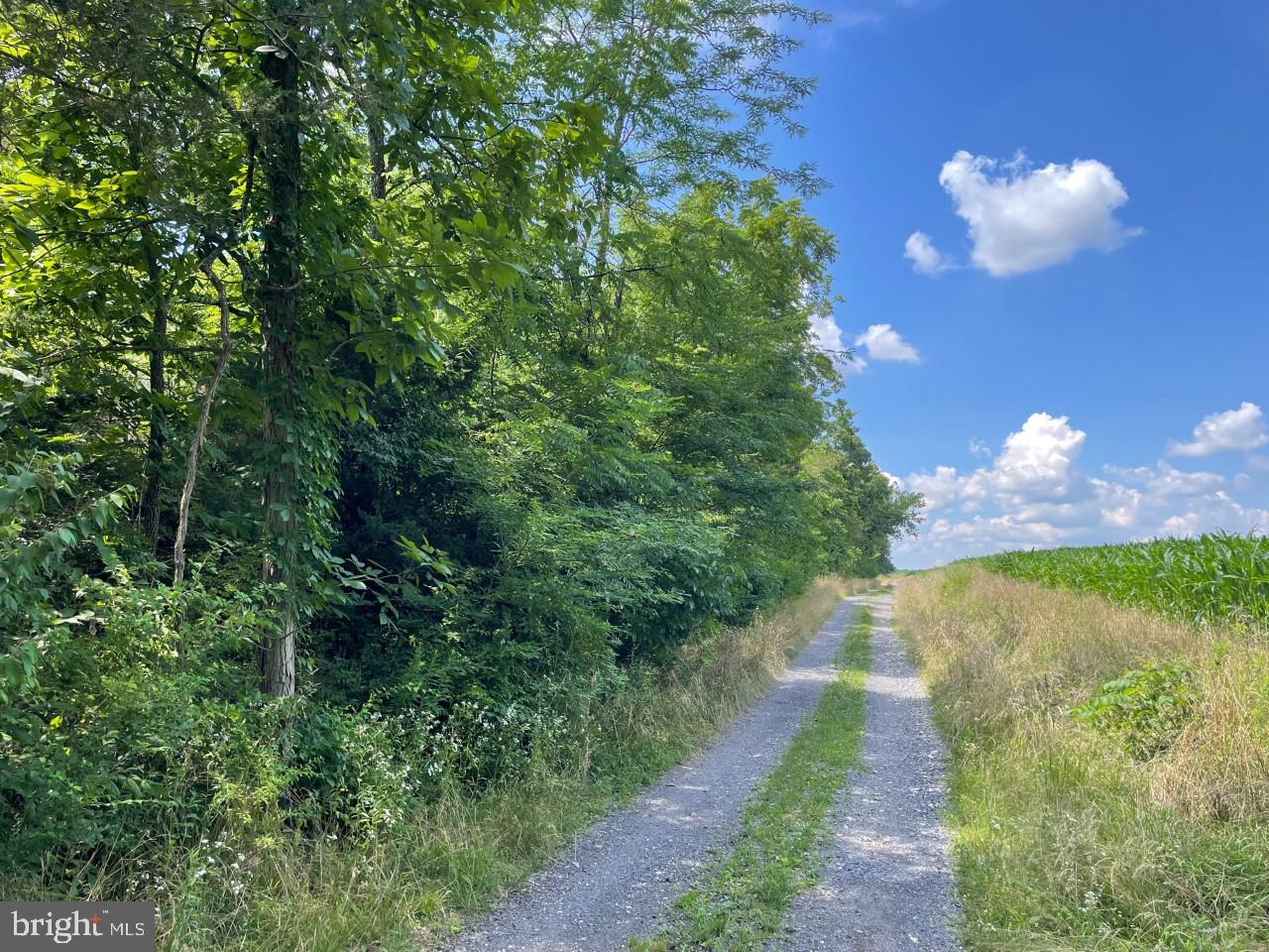 0 Starner Dam Road Taneytown, MD 21787 - Photo 5 of 42