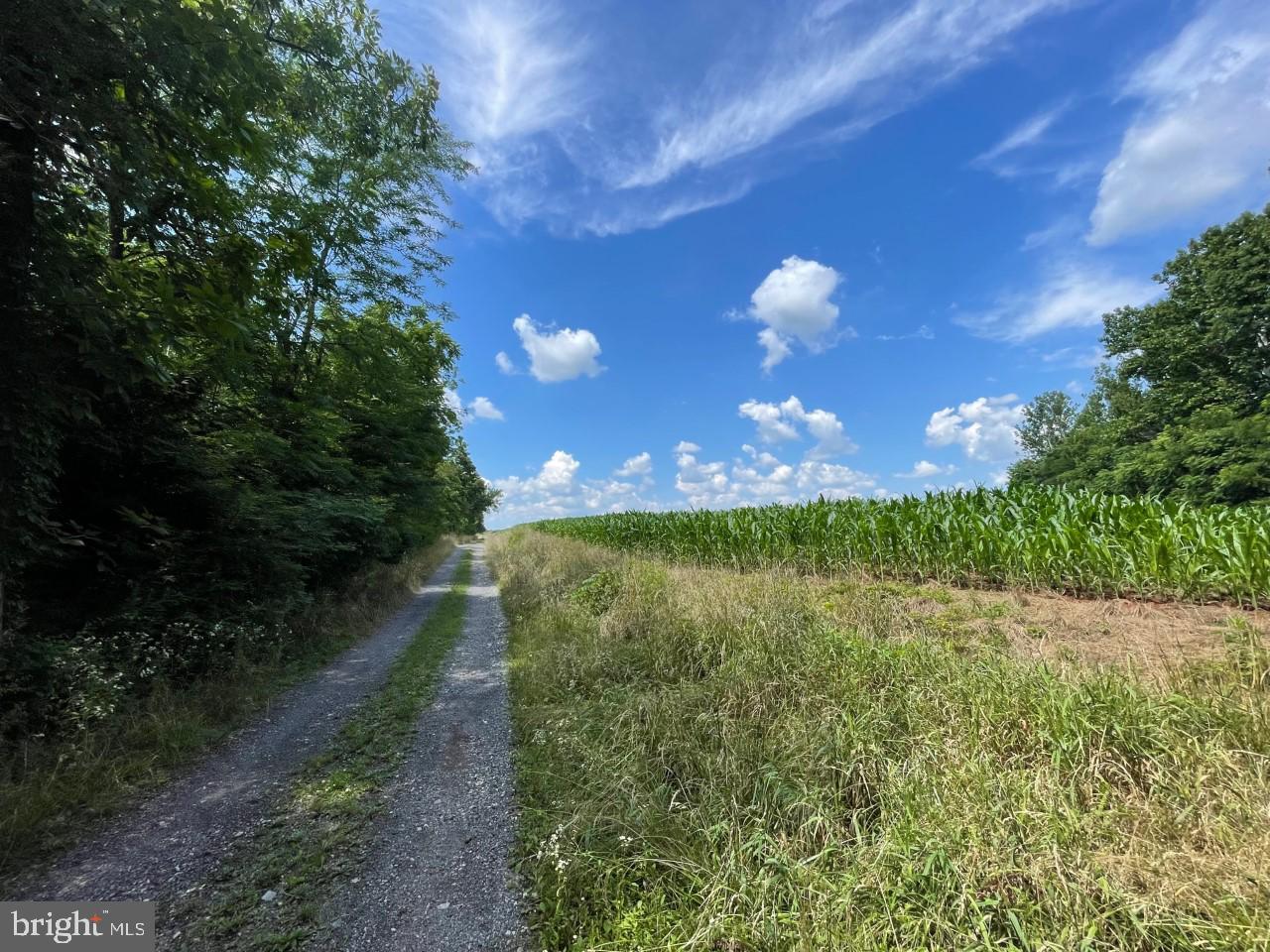 0 Starner Dam Road Taneytown, MD 21787 - Photo 6 of 42